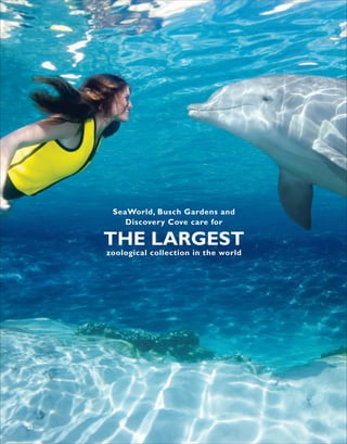 SeaWorld, Busch Gardens and
         Discovery Cove care for

     THE LARGEST
     zoological collection in the world




22
 