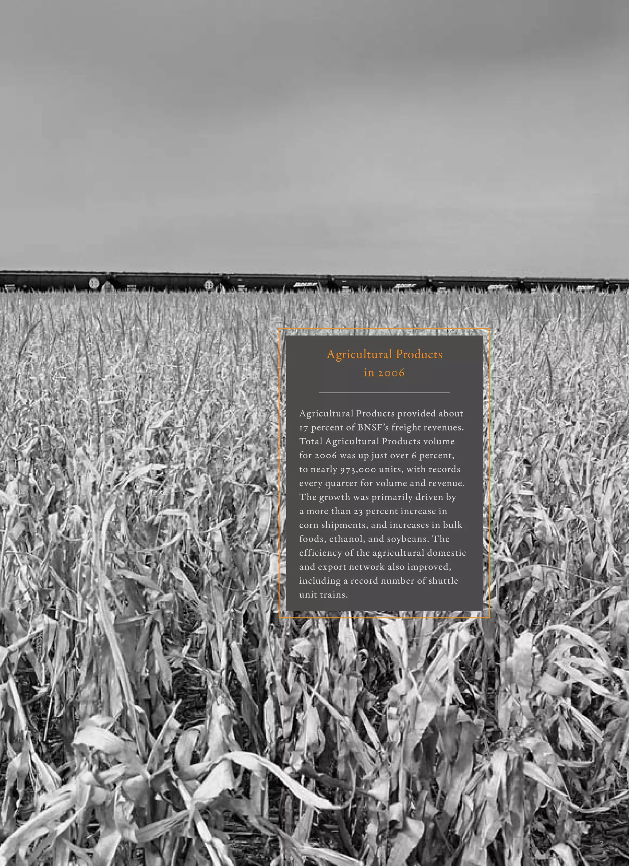 BNSF 2006 annrpt