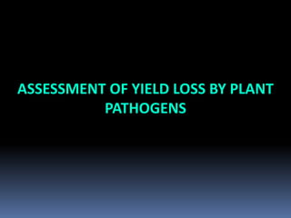 ASSESSMENT OF YIELD LOSS BY PLANT
PATHOGENS
 