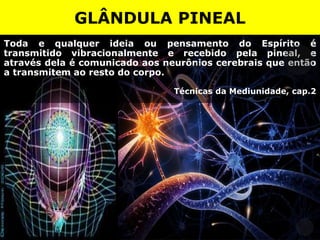 Toda e qualquer ideia ou pensamento do Espírito é
transmitido vibracionalmente e recebido pela pineal, e
através dela é comunicado aos neurônios cerebrais que então
a transmitem ao resto do corpo.
Técnicas da Mediunidade, cap.2
GLÂNDULA PINEAL
 