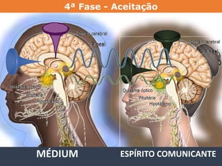 MÉDIUM ESPÍRITO COMUNICANTE
4ª Fase - Aceitação
 