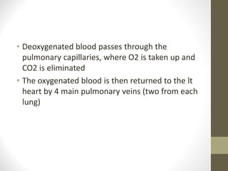 • Deoxygenated blood passes through the
pulmonary capillaries, where O2 is taken up and
CO2 is eliminated
• The oxygenated blood is then returned to the lt
heart by 4 main pulmonary veins (two from each
lung)
 