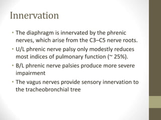 Innervation
• The diaphragm is innervated by the phrenic
nerves, which arise from the C3–C5 nerve roots.
• U/L phrenic nerve palsy only modestly reduces
most indices of pulmonary function (~ 25%).
• B/L phrenic nerve palsies produce more severe
impairment
• The vagus nerves provide sensory innervation to
the tracheobronchial tree
 