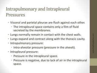 Intrapulmonary and Intrapleural
Pressures
• Visceral and parietal pleurae are flush against each other.
• The intrapleural space contains only a film of fluid
secreted by the membranes.
• Lungs normally remain in contact with the chest walls.
• Lungs expand and contract along with the thoracic cavity.
• Intrapulmonary pressure:
• Intra-alveolar pressure (pressure in the alveoli).
• Intrapleural pressure:
• Pressure in the intrapleural space.
• Pressure is negative, due to lack of air in the intrapleural
space.
www.freelivedoctor.com
 
