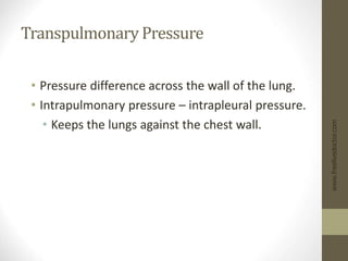 Transpulmonary Pressure
• Pressure difference across the wall of the lung.
• Intrapulmonary pressure – intrapleural pressure.
• Keeps the lungs against the chest wall.
www.freelivedoctor.com
 
