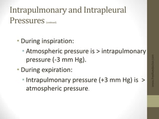 Intrapulmonary and Intrapleural
Pressures (continued)
• During inspiration:
• Atmospheric pressure is > intrapulmonary
pressure (-3 mm Hg).
• During expiration:
• Intrapulmonary pressure (+3 mm Hg) is >
atmospheric pressure.
www.freelivedoctor.com
 