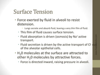 Surface Tension
• Force exerted by fluid in alveoli to resist
distension.
• Lungs secrete and absorb fluid, leaving a very thin film of fluid.
• This film of fluid causes surface tension.
• Fluid absorption is driven (osmosis) by Na+ active
transport.
• Fluid secretion is driven by the active transport of Cl- out
of the alveolar epithelial cells.
• H20 molecules at the surface are attracted to
other H20 molecules by attractive forces.
• Force is directed inward, raising pressure in alveoli.
www.freelivedoctor.com
 
