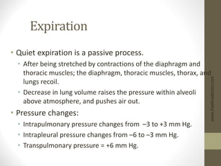 Expiration
• Quiet expiration is a passive process.
• After being stretched by contractions of the diaphragm and
thoracic muscles; the diaphragm, thoracic muscles, thorax, and
lungs recoil.
• Decrease in lung volume raises the pressure within alveoli
above atmosphere, and pushes air out.
• Pressure changes:
• Intrapulmonary pressure changes from –3 to +3 mm Hg.
• Intrapleural pressure changes from –6 to –3 mm Hg.
• Transpulmonary pressure = +6 mm Hg.
www.freelivedoctor.com
 