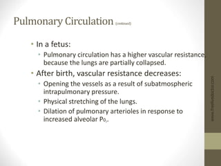 Pulmonary Circulation (continued)
• In a fetus:
• Pulmonary circulation has a higher vascular resistance,
because the lungs are partially collapsed.
• After birth, vascular resistance decreases:
• Opening the vessels as a result of subatmospheric
intrapulmonary pressure.
• Physical stretching of the lungs.
• Dilation of pulmonary arterioles in response to
increased alveolar P02.
www.freelivedoctor.com
 