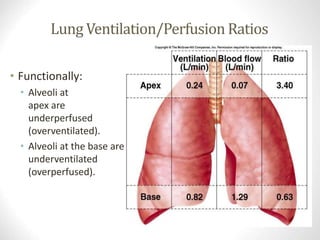 Lung Ventilation/Perfusion Ratios
• Functionally:
• Alveoli at
apex are
underperfused
(overventilated).
• Alveoli at the base are
underventilated
(overperfused).
www.freelivedoctor.com
Insert fig. 16.24
 