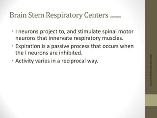 Brain Stem Respiratory Centers (continued)
• I neurons project to, and stimulate spinal motor
neurons that innervate respiratory muscles.
• Expiration is a passive process that occurs when
the I neurons are inhibited.
• Activity varies in a reciprocal way.
www.freelivedoctor.com
 