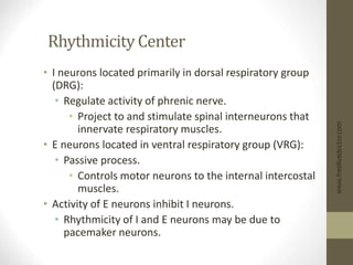 Rhythmicity Center
• I neurons located primarily in dorsal respiratory group
(DRG):
• Regulate activity of phrenic nerve.
• Project to and stimulate spinal interneurons that
innervate respiratory muscles.
• E neurons located in ventral respiratory group (VRG):
• Passive process.
• Controls motor neurons to the internal intercostal
muscles.
• Activity of E neurons inhibit I neurons.
• Rhythmicity of I and E neurons may be due to
pacemaker neurons.
www.freelivedoctor.com
 