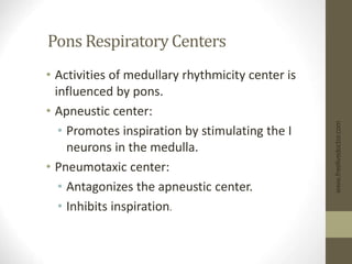 Pons Respiratory Centers
• Activities of medullary rhythmicity center is
influenced by pons.
• Apneustic center:
• Promotes inspiration by stimulating the I
neurons in the medulla.
• Pneumotaxic center:
• Antagonizes the apneustic center.
• Inhibits inspiration.
www.freelivedoctor.com
 
