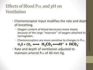 Effects of Blood PC02 and pH on
Ventilation
• Chemoreceptor input modifies the rate and depth
of breathing.
• Oxygen content of blood decreases more slowly
because of the large “reservoir” of oxygen attached to
hemoglobin.
• Chemoreceptors are more sensitive to changes in PC02.
H20 + C02 H2C03 H+ + HC03
-
• Rate and depth of ventilation adjusted to
maintain arterial PC02 of 40 mm Hg.
www.freelivedoctor.com
 