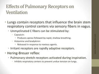 Effects of Pulmonary Receptors on
Ventilation
• Lungs contain receptors that influence the brain stem
respiratory control centers via sensory fibers in vagus.
• Unmyelinated C fibers can be stimulated by:
• Capsaicin:
• Produces apnea followed by rapid, shallow breathing.
• Histamine and bradykinin:
• Released in response to noxious agents.
• Irritant receptors are rapidly adaptive receptors.
• Hering-Breuer reflex:
• Pulmonary stretch receptors activated during inspiration.
• Inhibits respiratory centers to prevent undue tension on lungs.
www.freelivedoctor.com
 