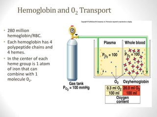 Hemoglobin and 02 Transport
• 280 million
hemoglobin/RBC.
• Each hemoglobin has 4
polypeptide chains and
4 hemes.
• In the center of each
heme group is 1 atom
of iron that can
combine with 1
molecule 02.
www.freelivedoctor.com
Insert fig. 16.32
 