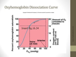 Oxyhemoglobin Dissociation Curve
www.freelivedoctor.com
Insert fig.16.34
 