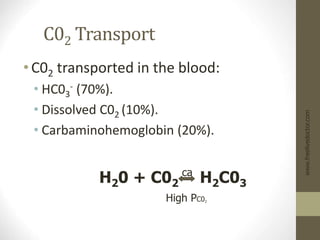 C02 Transport
•C02 transported in the blood:
• HC03
- (70%).
• Dissolved C02 (10%).
• Carbaminohemoglobin (20%).
www.freelivedoctor.com
H20 + C02 H2C03
ca
High PC02
 