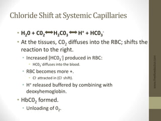 Chloride Shift at Systemic Capillaries
• H20 + C02 H2C03 H+ + HC03
-
• At the tissues, C02 diffuses into the RBC; shifts the
reaction to the right.
• Increased [HC03
-] produced in RBC:
• HC03
- diffuses into the blood.
• RBC becomes more +.
• Cl- attracted in (Cl- shift).
• H+ released buffered by combining with
deoxyhemoglobin.
• HbC02 formed.
• Unloading of 02.
www.freelivedoctor.com
 