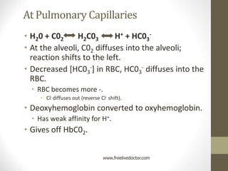At Pulmonary Capillaries
• H20 + C02 H2C03 H+ + HC03
-
• At the alveoli, C02 diffuses into the alveoli;
reaction shifts to the left.
• Decreased [HC03
-] in RBC, HC03
- diffuses into the
RBC.
• RBC becomes more -.
• Cl- diffuses out (reverse Cl- shift).
• Deoxyhemoglobin converted to oxyhemoglobin.
• Has weak affinity for H+.
• Gives off HbC02.
www.freelivedoctor.com
 