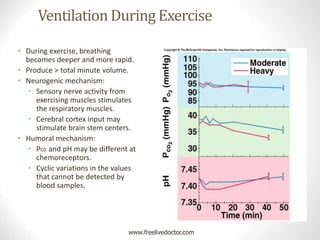 Ventilation During Exercise
• During exercise, breathing
becomes deeper and more rapid.
• Produce > total minute volume.
• Neurogenic mechanism:
• Sensory nerve activity from
exercising muscles stimulates
the respiratory muscles.
• Cerebral cortex input may
stimulate brain stem centers.
• Humoral mechanism:
• PC02 and pH may be different at
chemoreceptors.
• Cyclic variations in the values
that cannot be detected by
blood samples.
www.freelivedoctor.com
Insert fig. 16.41
 