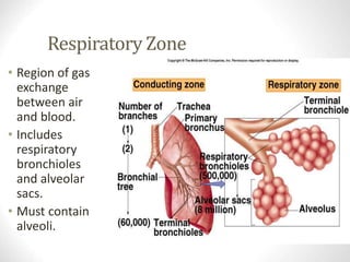 Respiratory Zone
• Region of gas
exchange
between air
and blood.
• Includes
respiratory
bronchioles
and alveolar
sacs.
• Must contain
alveoli.
www.freelivedoctor.com
 