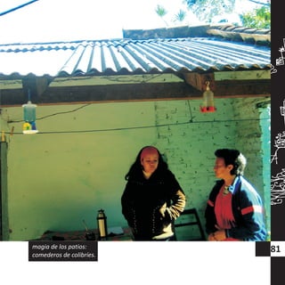 81magia de los patios:
comederos de colibríes.
 