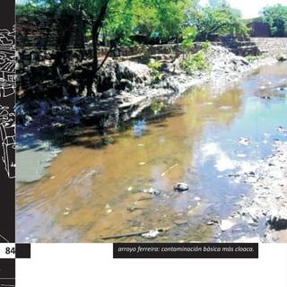 84 arroyo ferreira: contaminación básica más cloaca.
 