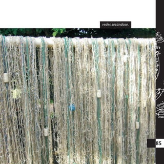 85
redes secándose.
 