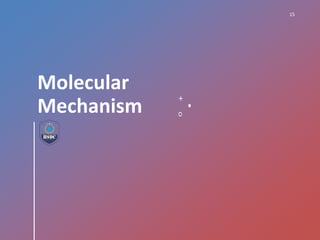 Molecular
Mechanism
15
 