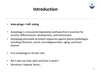 Introduction
• Auto-phagy = Self- eating
• Autophagy is a lysosomal degradation pathway that is essential for
survival, differentiation, development, and homeostasis.
• Autophagy principally to protect organisms against diverse pathologies,
including infections, cancer, neurodegeneration, aging, and heart
disease.
• First autophagy in rat liver cells
• But it was not clear why? and how it works?
• Starvation, Hypoxia, Stress…
3
 