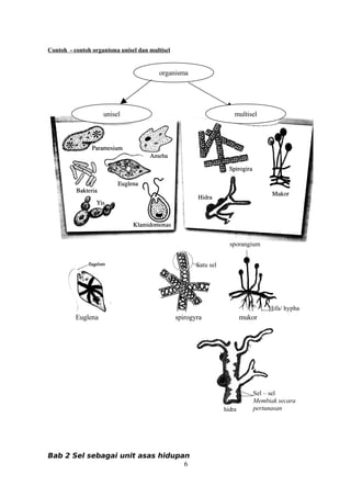 109788691 bah-2-sel-sbg-unit-asas-hidupan | PDF