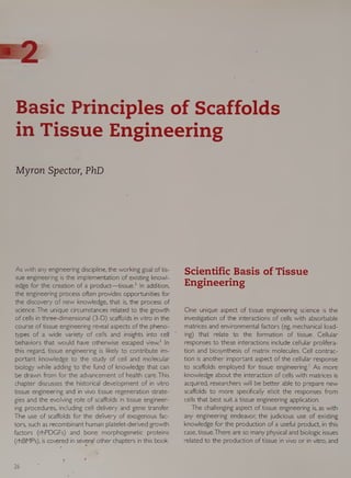 Tissue Engineering Applications In Oral And Maxillofacial Surgery And ...