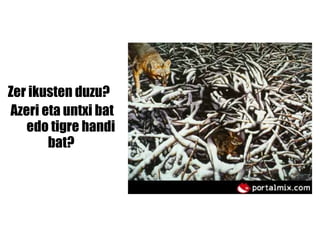 Zer ikusten duzu?   Azeri eta untxi bat   edo tigre handi   bat? 