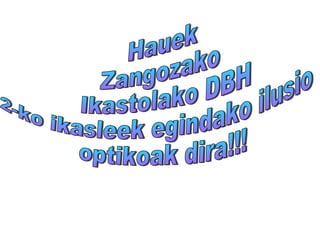 Hauek  Zangozako Ikastolako DBH  2-ko ikasleek egindako ilusio optikoak dira!!! 