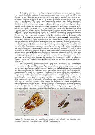 4
Επίσης τα είδη του φυτοπλαγκτού χαρακτηρίζονται και από την αλατότητα
στην οποία διαβιούν. Αλλα ανήκουν αποκλειστικά στα γλυκά νερά και άλλα στα
αλµυρά, µε τα τελευταία να αντέχουν και σε αλατότητες χαµηλότερες εκείνης της
θάλασσας [περί τα 35 ppt - (1 ppt = 1 g αλάτι/L)] δηλαδή σε υφάλµυρα νερά. Αυτή
τους η προτίµηση (ως προς την αλατότητα) καθώς και άλλες συναφείς,
(θερµοκρασιακή προτίµηση, αντοχή σε οξέα και βάσεις, αντοχή σε διάφορα τοξικά
µόρια), κατέστησαν τα φυτοπλαγκτονικά µικροφύκη χρήσιµους πειραµατικούς
δείκτες για περιβαλλοντικούς ελέγχους της ποιότητας των νερών. Και δεν είναι µόνο
η χρήση τους ως δείκτες υγείας του συστήµατος η µόνη άµεσα επωφελής για τον
άνθρωπο. Σήµερα τα µικροφύκη κυρίως αλλά και τα µακροφύκη, χρησιµοποιούνται
ολοένα και εντονότερα για επιστηµονικούς, βιοτεχνολογικούς και βιοµηχανικούς
σκοπούς. Η γενωµική (χειρισµοί στο γονιδίωµα), η πρωτεοµική (χειρισµοί στις
κυτταρικές πρωτεϊνες) έχουν επικεντρώσει το ενδιαφέρον τους στο γενετικό υλικό
των µικροφυκών. Η παραγωγή πολύτιµων για τον άνθρωπο ουσιών, β -καροτίνης,
ασταξανθίνες, αντιοξειδωτικά, βιταµίνες, πρωτεϊνες, πολυακόρεστα λιπαρά οξέα, κ.ά.
αποτελεί ήδη βιοµηχανική πρακτική συνεχώς εξελισσόµενη. Η πολλά υποσχόµενη
για την απεξάρτηση από τα ορυκτά καύσιµα παραγωγή υδρογόνου (Η2) από τα φύκη
κάνει ήδη τα πρώτα της βήµατα. Βήµατα που είναι πιο στέρεα στην παραγωγή άλλων
κοινού τύπου βιοκαυσίµων από µικροφύκη τα οποία παρουσιάζουν ως προς την
µαζική τους παραγωγή και τα χαρακτηριστικά των τελικών προϊόντων που αποδίδουν
για την εστεροποίητική διαδικασία παραγωγής καυσίµων, πολύ µεγαλύτερα
πλεονεκτήµατα από χερσαία φυτά καλλιεργούµενα για τον ίδιο σκοπό (καλαµπόκι,
τεύτλα, κ.ά.).
Τα µικροφύκη χρησιµοποιούνται ήδη από δεκαετίες ως απαραίτητα
συστατικά στις υδατοκαλλιέργειες. Χρησιµοποιούνται επίσης στην απορρύπανση
των αστικών και βιοµηχανικών λυµάτων. Ακόµα και η εξωβιολογία που απασχολεί
και θα απασχολήσει τον άνθρωπο στην προσπάθεια εποικισµού του δ ιαστήµατος,
χρησιµοποιεί τα φύκη ως “εργαλεία” επιβίωσης και γαιοποίησης της ατµόσφαιρας
στις ακραίες συνθήκες του πλανήτη Αρη (που είναι και ο πρώτος στόχος εποικισµού).
Ατελείωτη θα γίνεται η χρήση των µικροφυκών όσο τα γνωρίζουµε. Και µάλιστα θα
είναι τόσο µεγαλύτερες οι ευκαιρίες αξιοποίησης, όσο ανακαλύπτουµε ιδιότητές τους
πολύ λίγο µελετηµένες εξαιτίας ειδών που επειδή διαβιούν σε ακραία περιβάλλοντα
(extremophiles) δεν είχαν προσελκύσει µέχρι τώρα το ενδιαφέρον της επιστηµονικής
κοινότητας. Και τέτοια είδη είναι ακριβώς εκείνα που έχουν προσαρµοστεί, µόνα
αυτά, να αντέχουν στις εξαιρετικά υψηλές αλατότητες των υπεράλµυρων νερών.
Εικόνα 3. Διάτοµα από τις υπεράλµυρες λεκάνες της αλυκής του Μεσολογγίου.
Διάτοµα: Αριστερά: Amphiprora sp. Δεξιά: Licmophora sp.
 