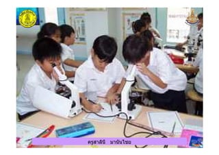 ครูสาลินี มานันไชยครูสาลินี มานันไชย
 