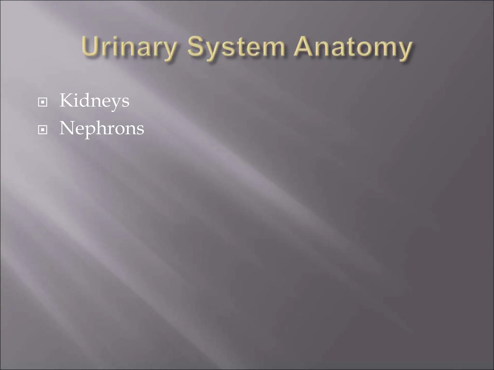  Kidneys
 Nephrons
 