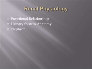  Functional Relationships
 Urinary System Anatomy
 Nephron
 