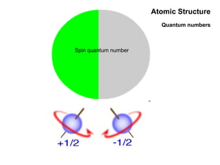 Atomic Structure Quantum numbers Spin quantum number 