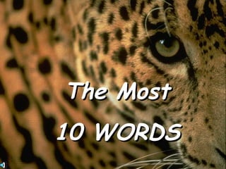 The Most 10 WORDS 