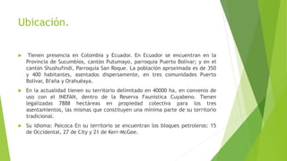 Ubicación.
 Tienen presencia en Colombia y Ecuador. En Ecuador se encuentran en la
Provincia de Sucumbíos, cantón Putumayo, parroquia Puerto Bolívar; y en el
cantón Shushufindi, Parroquia San Roque. La población aproximada es de 350
y 400 habitantes, asentados dispersamente, en tres comunidades Puerto
Bolívar, Bi'aña y Orahuëaya.
 En la actualidad tienen su territorio delimitado en 40000 ha, en convenio de
uso con el INEFAN, dentro de la Reserva Faunística Cuyabeno. Tienen
legalizadas 7888 hectáreas en propiedad colectiva para los tres
asentamientos, las mismas que constituyen una mínima parte de su territorio
tradicional.
 Su idioma: Paicoca En su territorio se encuentran los bloques petroleros: 15
de Occidental, 27 de City y 21 de Kerr-McGee.
 