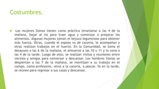 Costumbres.
 Las mujeres Sionas tienen como práctica levantarse a las 4 de la
mañana, bajar al río para traer agua y comenzar a preparar los
alimentos. Algunas mujeres toman el bejuco leguminoso para obtener
más fuerza. Otras, cuando el esposo va de cacería, le acompañan y
otras realizan trabajos en el huerto. En la Comunidad, se toma el
desayuno a las 6 de la mañana, el almuerzo a las 10 u 11 y la cena a
las 4 de la tarde. Luego de esto, se realizan visitas y reuniones entre
vecinos y amigos para conversar y descansar. Los hombres Sionas se
despiertan a las 7 de la mañana, se movilizan a su trabajo en el
campo, como profesores, otros a la cacería, a pescar. Ya en la tarde,
se reúnen para regresar a sus casas y descansar.
 