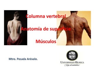 Columna vertebral
Anatomía de superficie
Músculos
Mtro. Posada Arévalo.
 