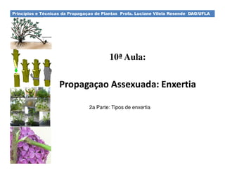 Princípios e Técnicas da Propagaçao de Plantas Profa. Luciane Vilela Resende DAG/UFLA 
10ª Aula: 
Propagaçao Assexuada: Enxertia 
2a Parte: Tipos de enxertia 
 