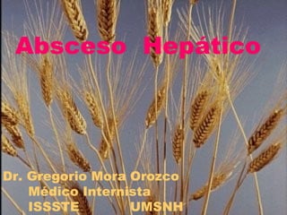 Absceso Hepático 
Dr. Gregorio Mora Orozco 
Médico Internista 
ISSSTE UMSNH 
 