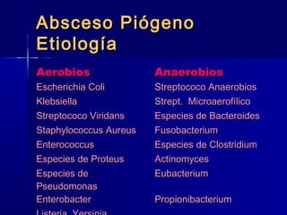 AAbbsscceessoo PPiióóggeennoo 
EEttiioollooggííaa 
AAeerroobbiiooss AAnnaaeerroobbiiooss 
EEsscchheerriicchhiiaa CCoollii SSttrreeppttooccooccoo AAnnaaeerroobbiiooss 
KKlleebbssiieellllaa SSttrreepptt.. MMiiccrrooaaeerrooffíílliiccoo 
SSttrreeppttooccooccoo VViirriiddaannss EEssppeecciieess ddee BBaacctteerrooiiddeess 
SSttaapphhyyllooccooccccuuss AAuurreeuuss FFuussoobbaacctteerriiuumm 
EEnntteerrooccooccccuuss EEssppeecciieess ddee CClloossttrriiddiiuumm 
EEssppeecciieess ddee PPrrootteeuuss AAccttiinnoommyycceess 
EEssppeecciieess ddee 
EEuubbaacctteerriiuumm 
PPsseeuuddoommoonnaass 
EEnntteerroobbaacctteerr PPrrooppiioonniibbaacctteerriiuumm 
LLiisstteerriiaa,, YYeerrssiinniiaa 
 