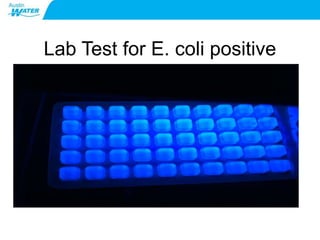 Revised Total Coliform Rule, Charles Maddox, P.E. | PPTX
