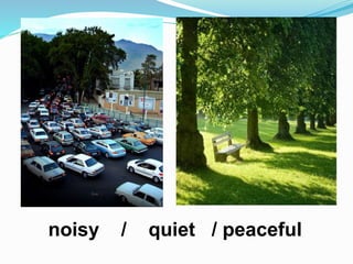 noisy / quiet / peaceful
 