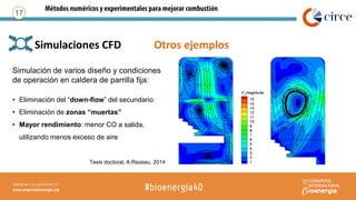 • Simulaciones CFD Otros ejemplos
18
Expansión BFB en oxicombustión Co-combustión en central térmicaDiagnostico combustión...